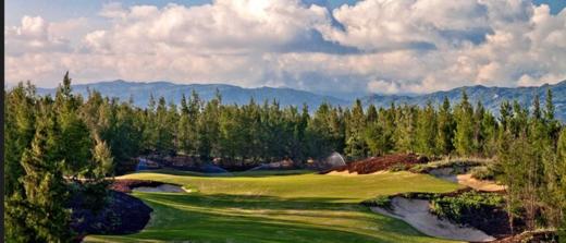 越南归仁FLC球场QUY NHON FLC GOLF CLUB 商品图2