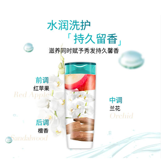 【自营】 欧莱雅 透明质酸水润 洗护系列 多规格 商品图5