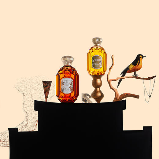 ANDRADA爱然达沁享香氛沐浴油300ml 明日拂晓/月下独白 商品图2