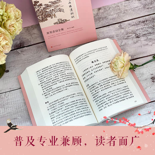 唤起两眸清炯炯：周邦彦词全解（恋上古诗词：插图珍藏版） 商品图2