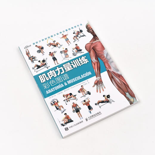 肌肉力量训练彩色图谱 里卡多·卡诺瓦斯·里内拉斯 著 养生保健 商品图2