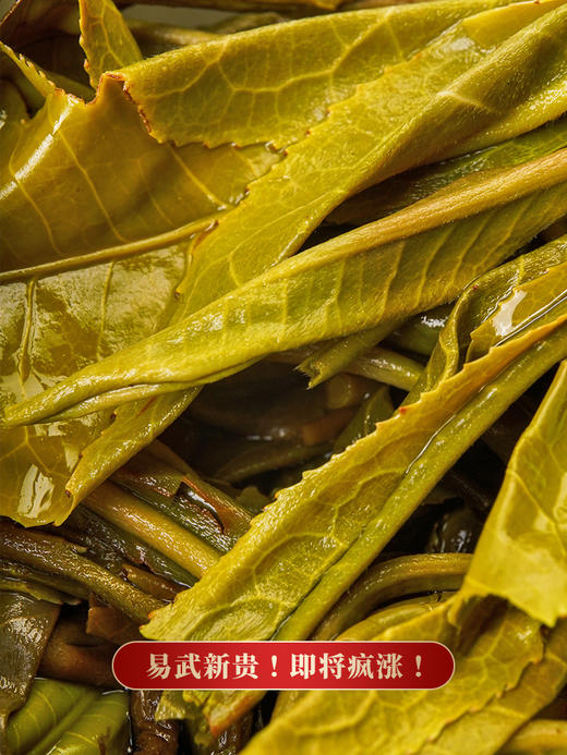 【天门山】2023年头春头采高杆古树茶边境旁口感直逼薄荷塘357克/饼拍5发6拍20发25 商品图6