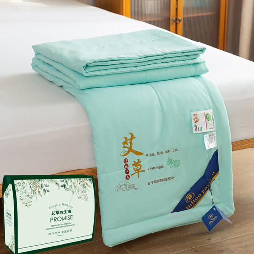 艾草空调被水洗棉驱蚊夏凉被夏季薄被子 商品图0