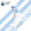 【三星冠军款】阿根廷国家队官方商品丨足球迷蓝白时尚休闲袜10号 商品缩略图1