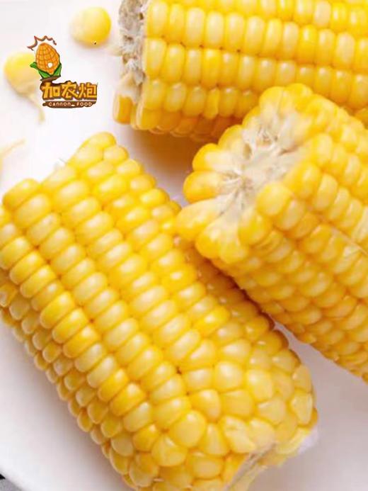 加农炮甜糯玉米 12只新鲜黄糯玉米 真空包装 即食代餐 东北田里糯玉米 商品图4
