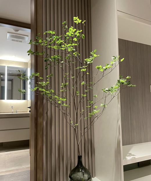 【隐形的美】进口吊钟 精选/单枝 1.2米（叶子较娇嫩易损耗，叶子不在售后范围内，介意慎拍） 商品图9