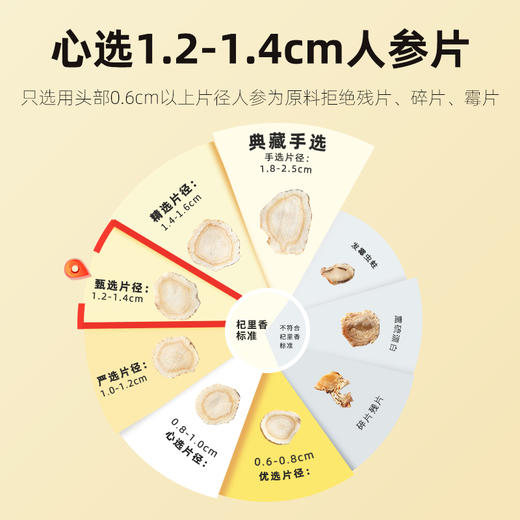 杞里香50g瓶装1.2-1.4人参片5年高龄参，肉质肥厚含皂甙9月鲜制，品味长白山的早秋参香 商品图2