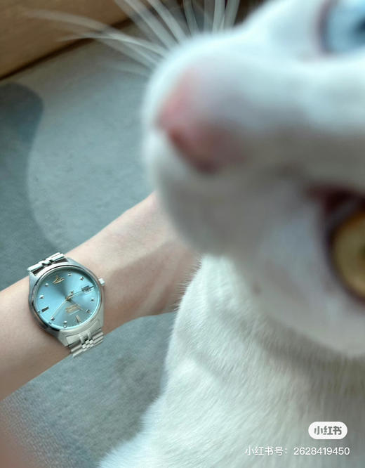 冰川蓝西太后腕表Viviennewestwood冰川蓝日历款 商品图6