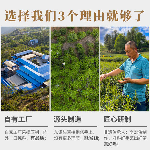 2023年春茶德丰昌【东半山】普洱生茶手撕薄饼200克/盒 商品图3