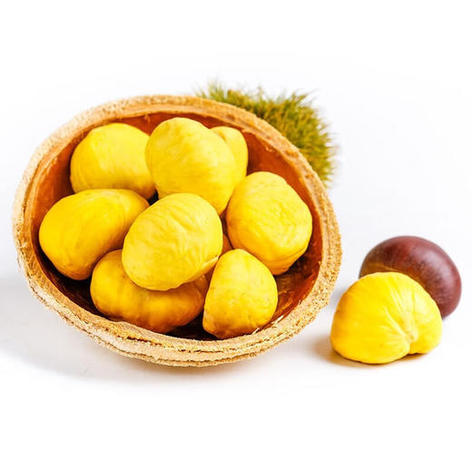 新鲜 板栗  生板栗 大油栗 小毛板粟 应季 蔬菜 现摘 生鲜 栗子 整箱 包邮 商品图3