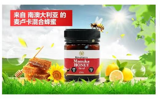 【YH】novafarms 澳洲麦卢卡蜂蜜礼盒 商品图0