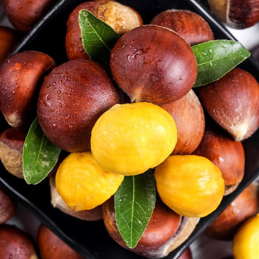 新鲜 板栗  生板栗 大油栗 小毛板粟 应季 蔬菜 现摘 生鲜 栗子 整箱 包邮 商品图1