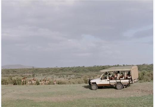 东非Bushtops Camps顶级营地两国三地Fly In野奢行程 商品图7