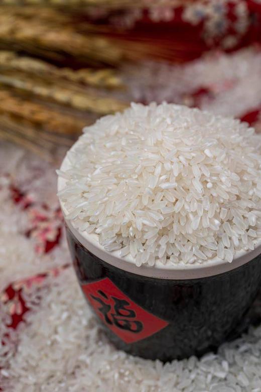 稻花香|五常大米 东北大米（自然香甜 颗粒饱满 高品质大米） 商品图1