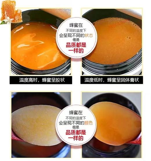 【YH】novafarms 澳洲麦卢卡蜂蜜礼盒 商品图5
