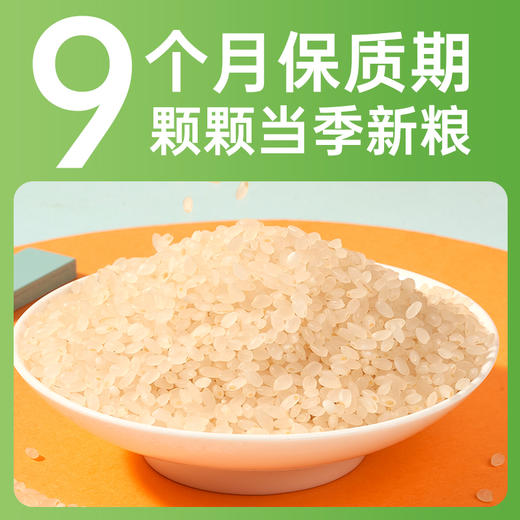 有机胚芽米450g/盒*2 商品图1