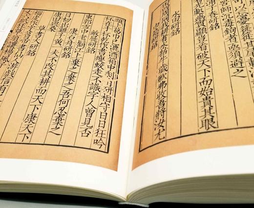 毛边本！！《小残卷斋藏珍本冬心先生集七种》，清 金农著，孟宪钧编，毛边本，布面精装带函套，大16开，全二册，534页，国家图书馆出版社2020年8月初版。定价580，售价398元。 商品图14