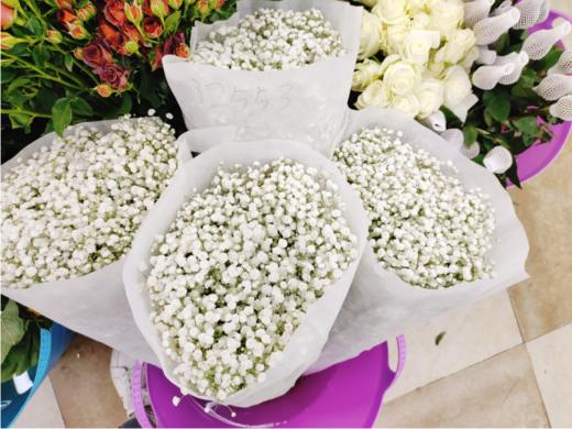 满天星一捆（拼团） 商品图0