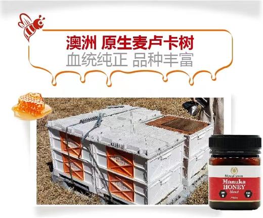 【YH】novafarms 澳洲麦卢卡蜂蜜礼盒 商品图3