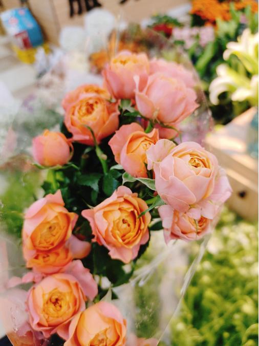 小灵感多头玫瑰花束（拼团） 商品图0