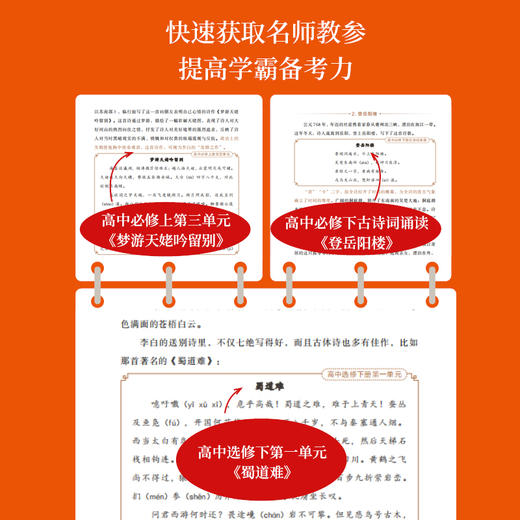 【外滩教育】北京四中语文课：细说诗文+名篇品读+何止文章 红楼梦高考古诗文答题 备考阅读 商品图5