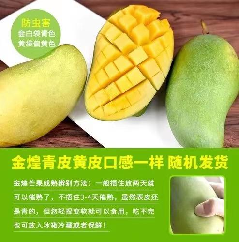 品质差下架-海南金煌芒8斤礼盒装【分仓直发，72小时发货，周末节假日不发货】 商品图4