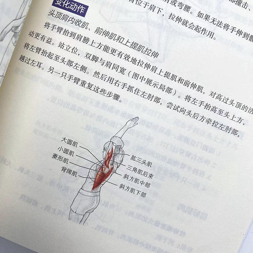 拉伸运动解剖学 第3版 拉伸训练书籍 拉伸训练图谱 *拉伸 肌肉拉伸 商品图4