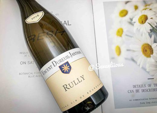 文森特都杰酒庄鲁利干白葡萄酒 商品图1