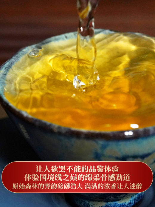 【天门山】2023年头春头采高杆古树茶边境旁口感直逼薄荷塘357克/饼拍5发6拍20发25 商品图3