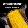 加农炮甜糯玉米 12只新鲜黄糯玉米 真空包装 即食代餐 东北田里糯玉米 商品缩略图1