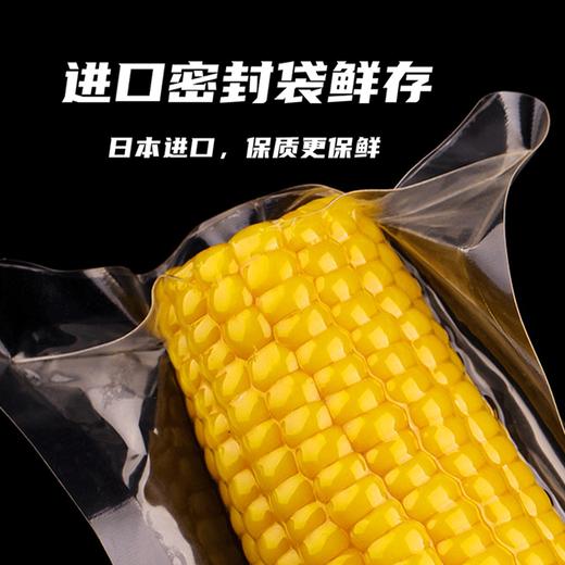 加农炮甜糯玉米 12只新鲜黄糯玉米 真空包装 即食代餐 东北田里糯玉米 商品图1