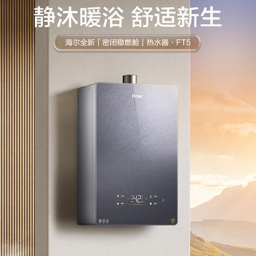 海尔（Haier）热水器 JSQ31-16FT5FPXGU1 商品图0