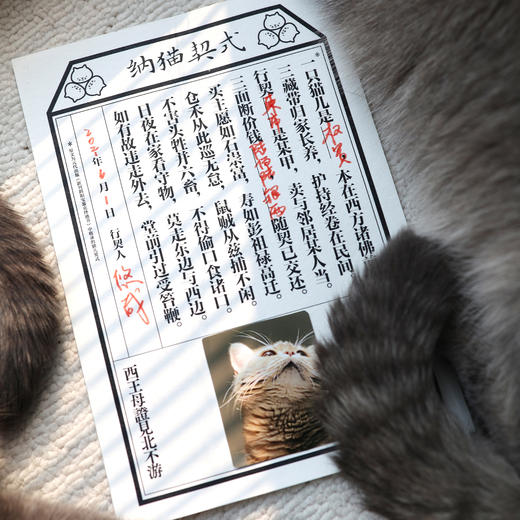 聘猫之礼：献给猫咪的一书二礼/四礼/六礼 商品图1