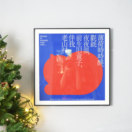 聘猫之礼：献给猫咪的一书二礼/四礼/六礼 商品图7