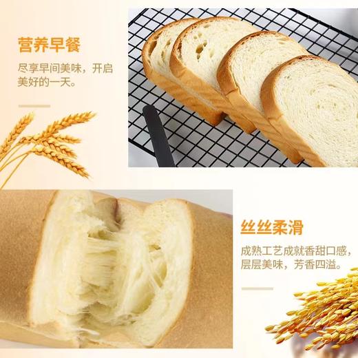 甘小鲜经典特香包338g 商品图3