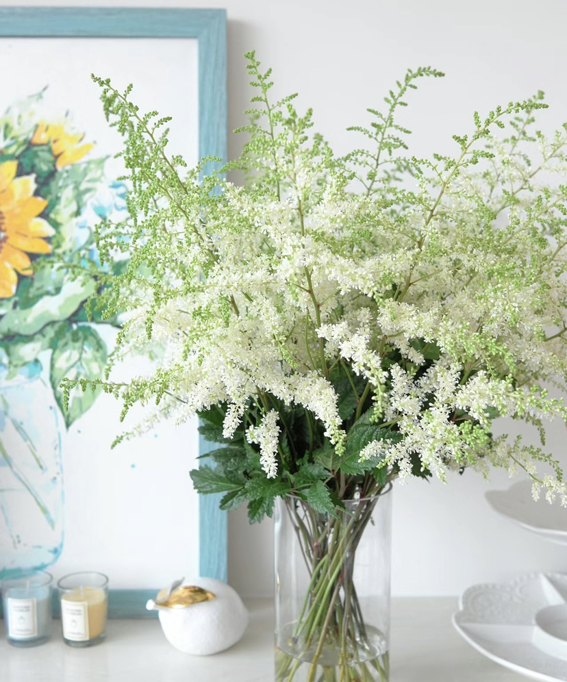 【清新淡雅】国产~落新妇 白色 9-10枝/扎