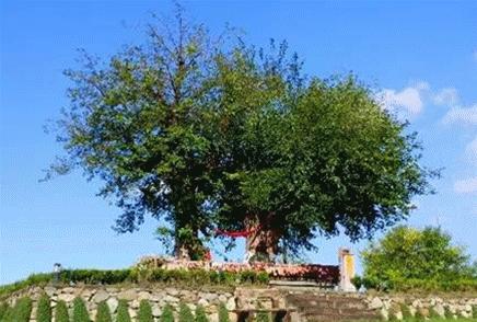 【蚕宝自然王国】49.9元特惠~需提前1小时购买！~全新升级、30余种萌宠、亲子手工 创意无限、儿童乐园嗨翻天……！ 商品图7