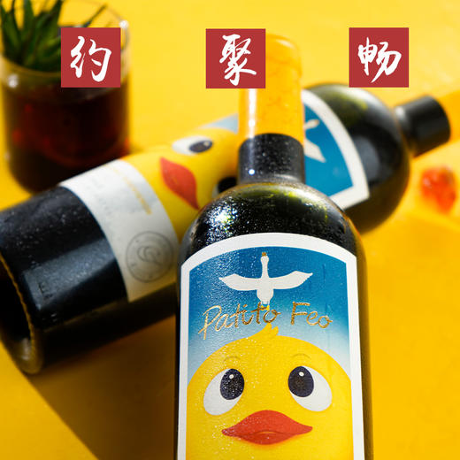 智成丑小鸭经典赤霞珠干红葡萄酒750ml两支装 商品图1