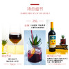 智成丑小鸭经典赤霞珠干红葡萄酒750ml两支装 商品缩略图4