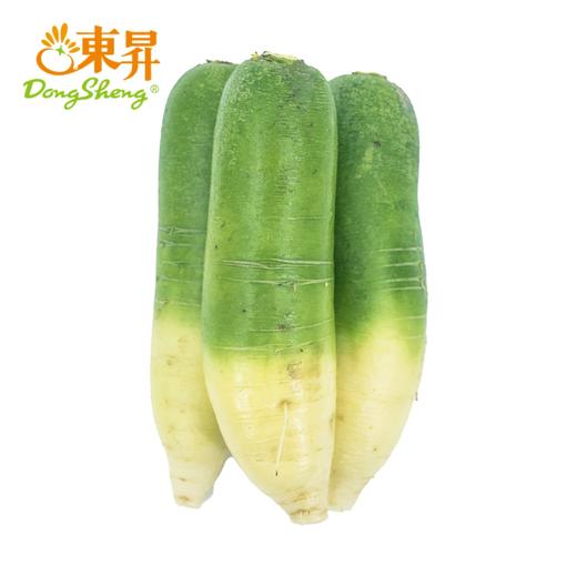 东升农场 青萝卜 青皮萝卜 3斤/5斤 中通包邮 商品图0