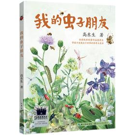 我的虫子朋友   五六年级共读书小学生5年级6年级课外读