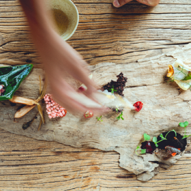 健康膳食管理/美丽肌肤/舒缓水疗