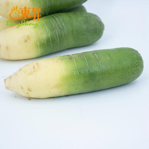东升农场 青萝卜 青皮萝卜 3斤/5斤 中通包邮 商品图2