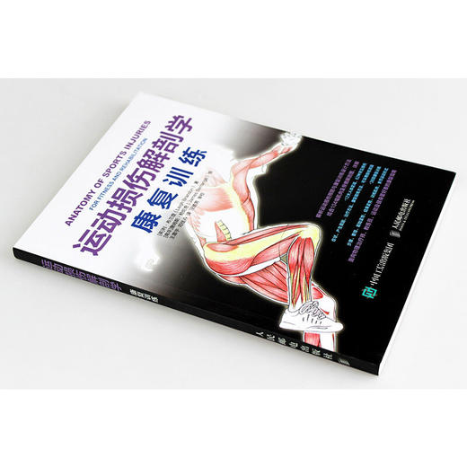 运动损伤解剖学康复训练 利·布兰登 著 养生保健 商品图1