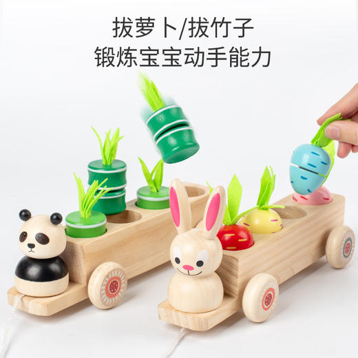 *【母婴用品】木制儿童益智早教玩具创意二合一拔萝卜兔子拉车水果配对玩具 商品图4