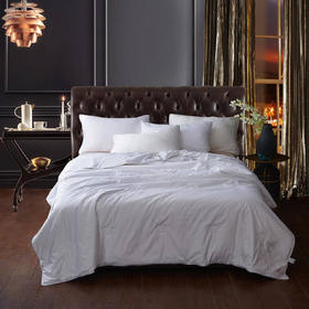 恒源祥 世华洛冰沁蚕丝被200*230 100%桑蚕丝600g 