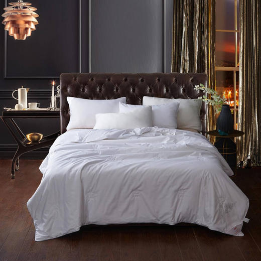 恒源祥 世华洛冰沁蚕丝被200*230 100%桑蚕丝600g  商品图0