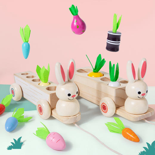 *【母婴用品】木制儿童益智早教玩具创意二合一拔萝卜兔子拉车水果配对玩具 商品图2