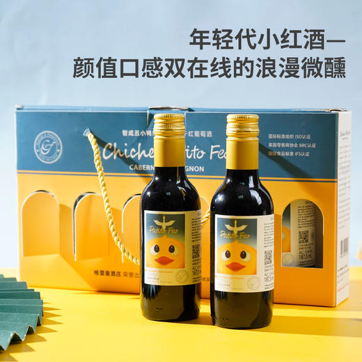 智成丑小鸭经典赤霞珠干红葡萄酒187.5ml六支礼盒装 商品图1