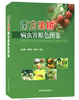 南方果树病虫害原色图鉴【中国农业出版社官方正版】   彭成绩 蔡明段 彭埃天 主编 商品缩略图0